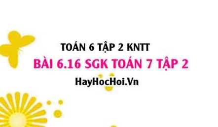 Bài 6.16 SGK Toán 7 tập 2 Kết nối tri thức
